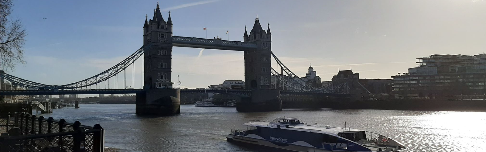 Bannière-insertionpng